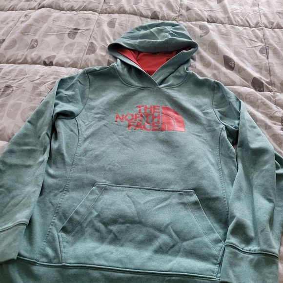 The North Face Light Blue Hoodie with Coral Logo - Picture 2 of 6